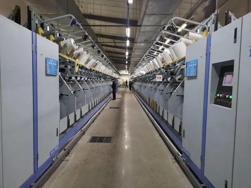 小船 再揚帆,何以破風浪 簾子布公司以地毯絲廠為試點蹚出改革發展新路徑的啟示